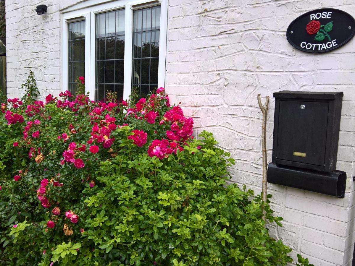 Rose Cottage Chard Eksteriør bilde